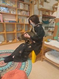 猫カフェ行ってきました(=^・^=)